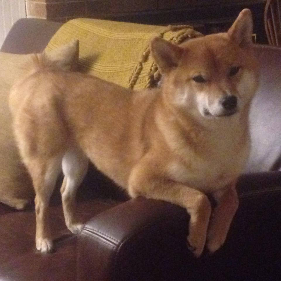 米兰体育-新闻中心智能工厂试点正式投运，智能工厂示意图