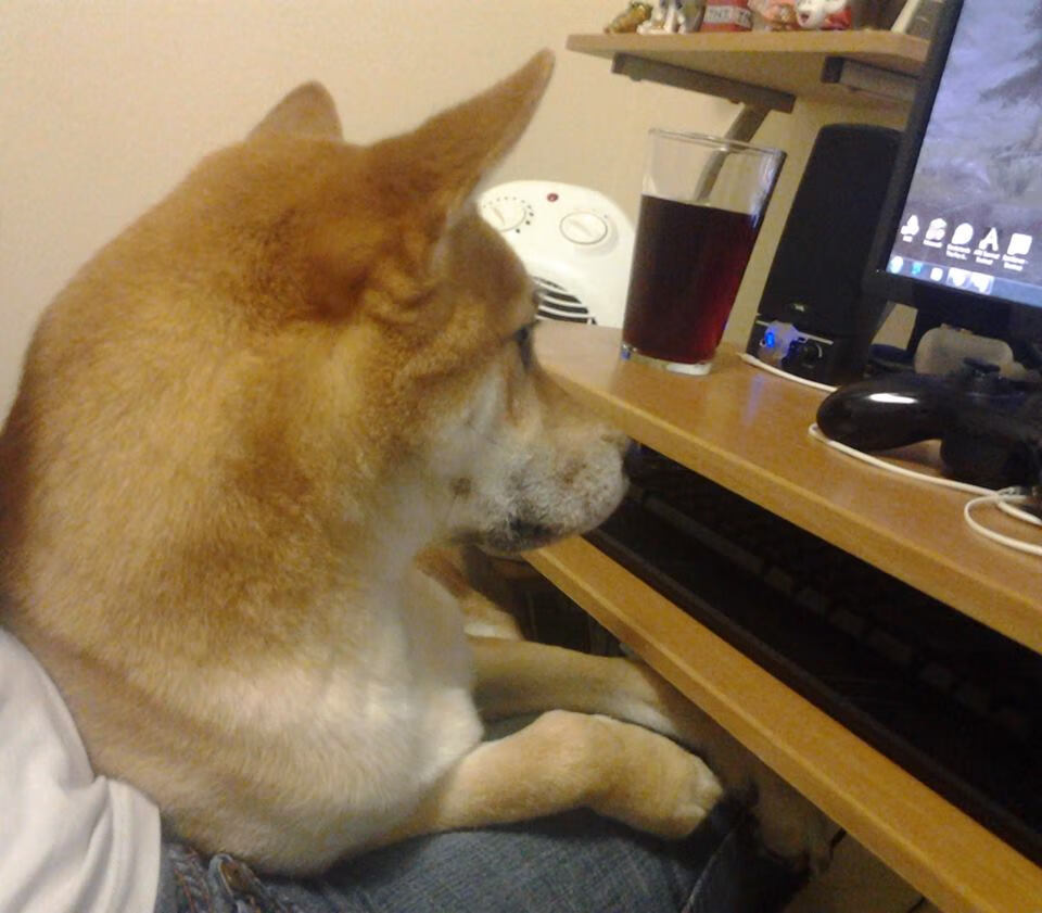 中国三人篮球男队提升协同防守意识,三人篮球中国队队员