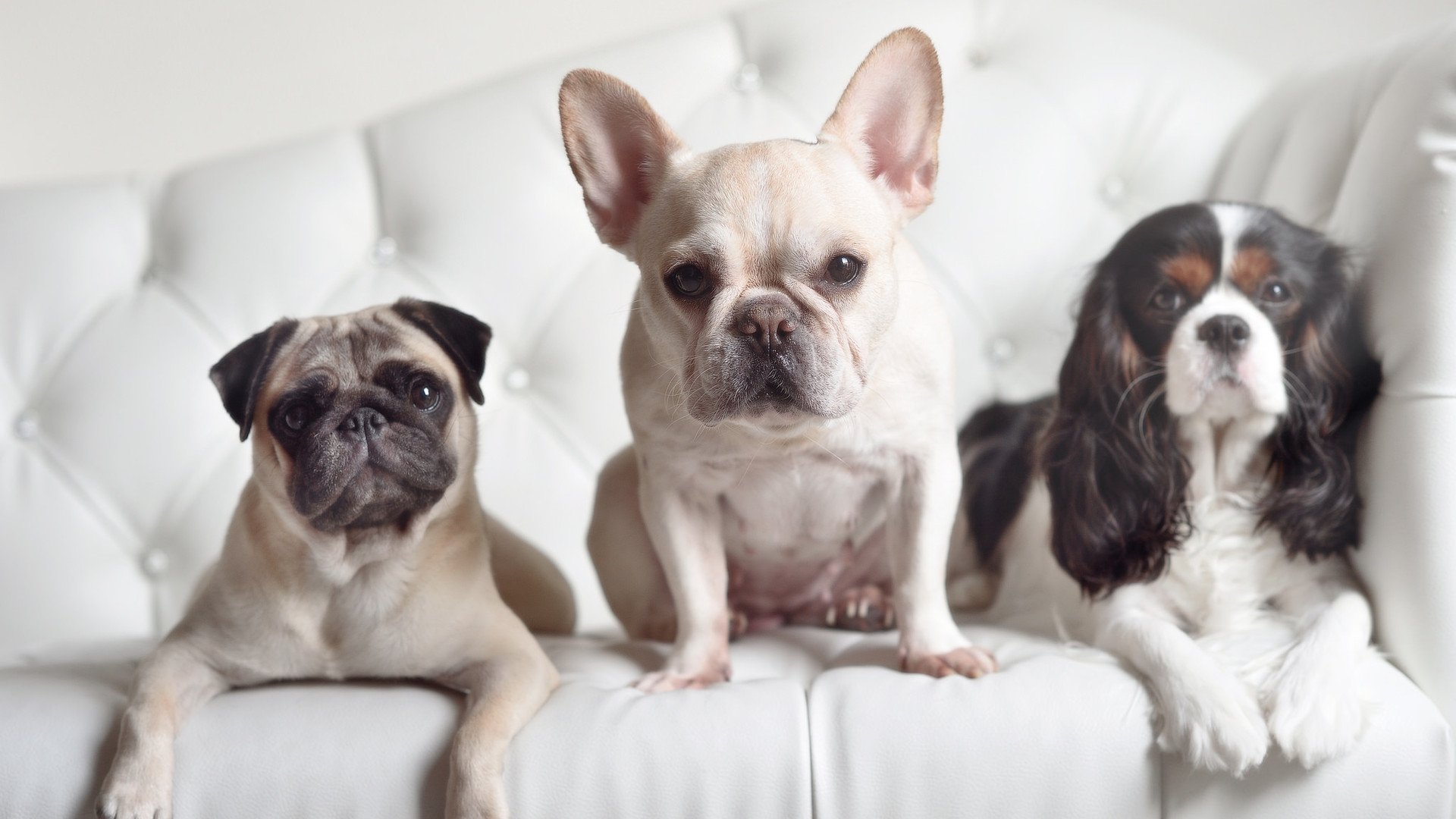 MILANSPORT下载-五大联赛球队低位单打与拉边进攻效率对比，nba低位单打