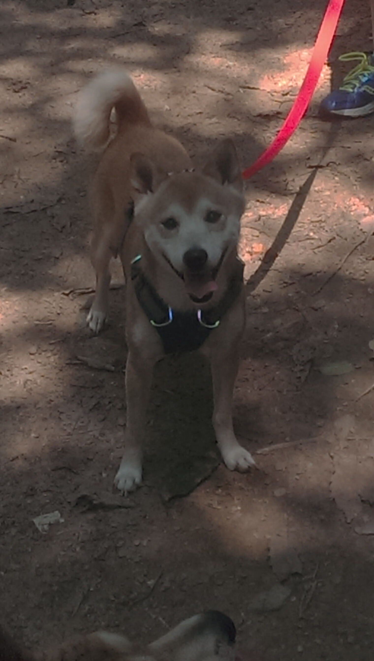 俱乐部青训投入不足,足球俱乐部青训总结与计划