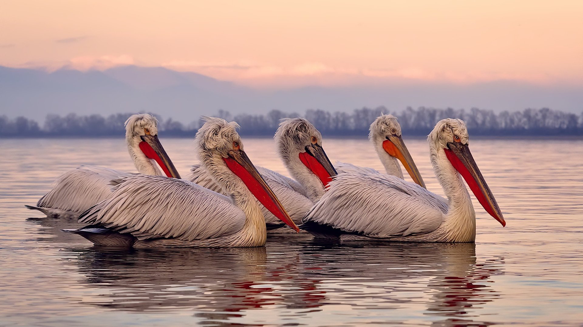 文旅融合：非遗与城市文化深度联动，非遗旅游融合发展的现状