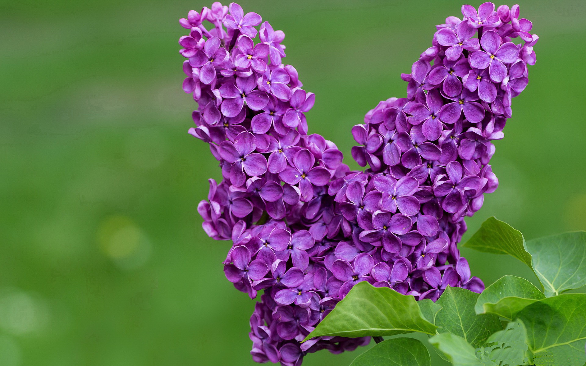 Milan Sports-节奏管理是否应成为球队每节节间战术的重点内容，节奏组是什么意思