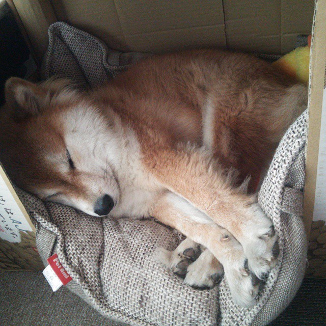 诺伊尔赛后被评为最佳守门员,诺伊尔赛后被评为最佳守门员吗