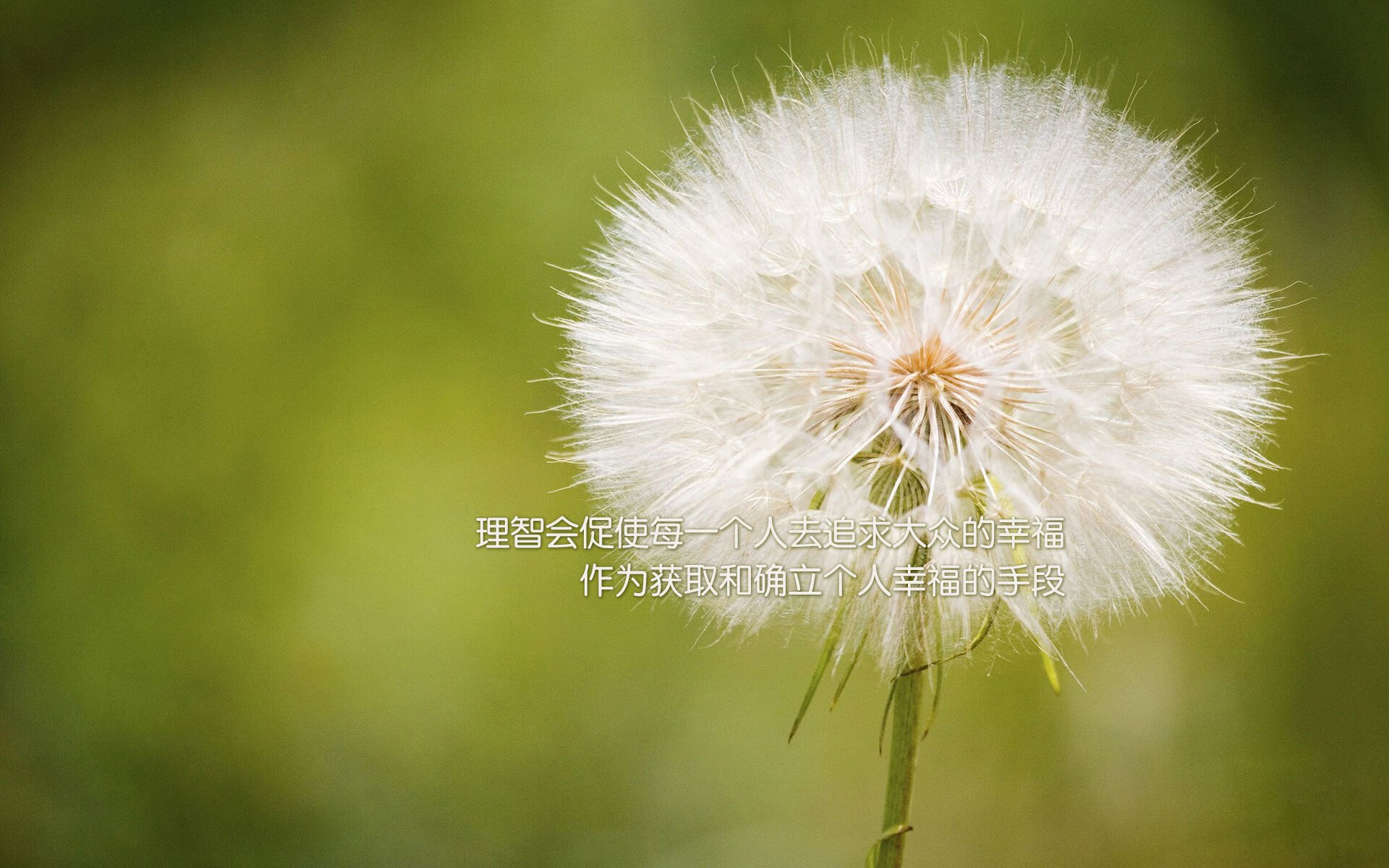 米兰体育官网-2026世界杯倒计时：全新赛制备受期待，精彩不断，2026世界杯时间表