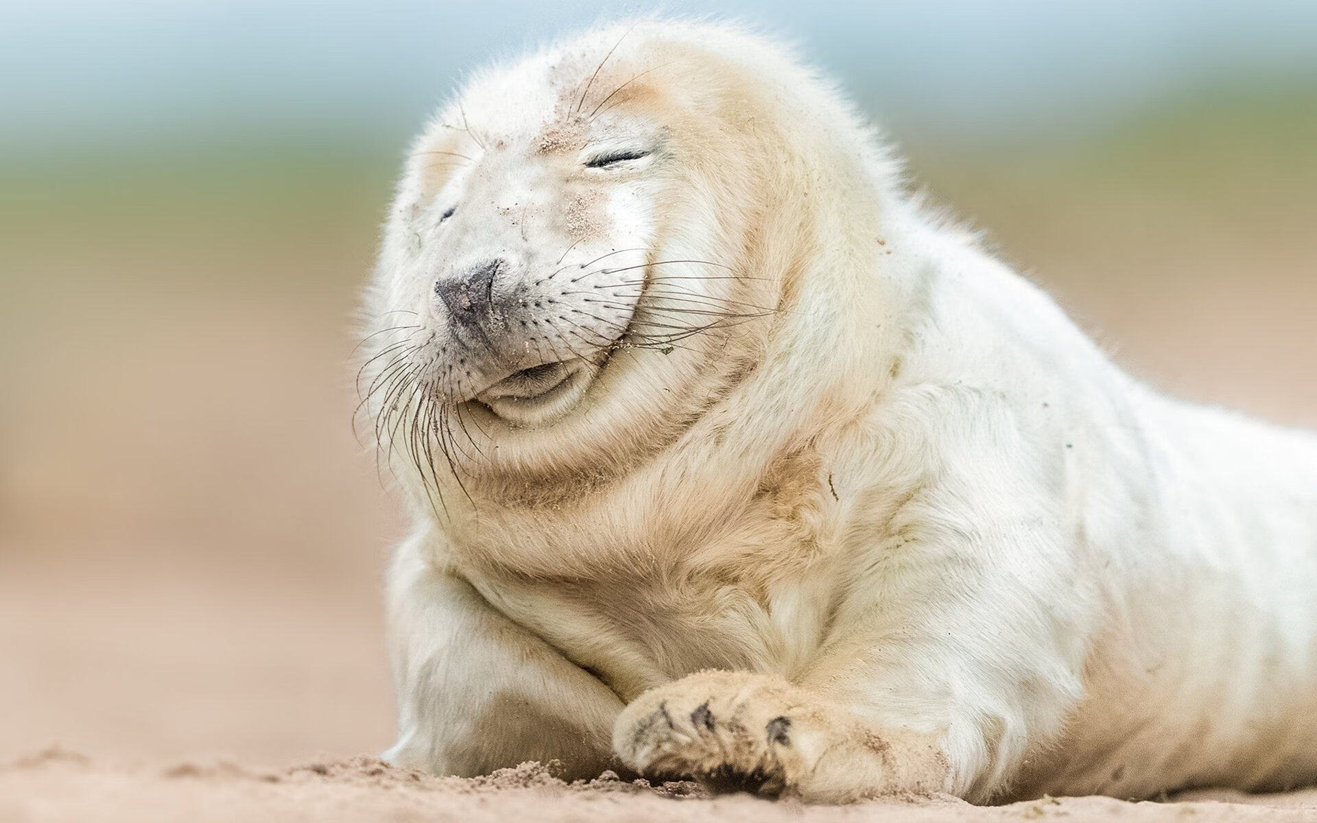 AC米兰-Preda与Popovici高台表现稳定进阶