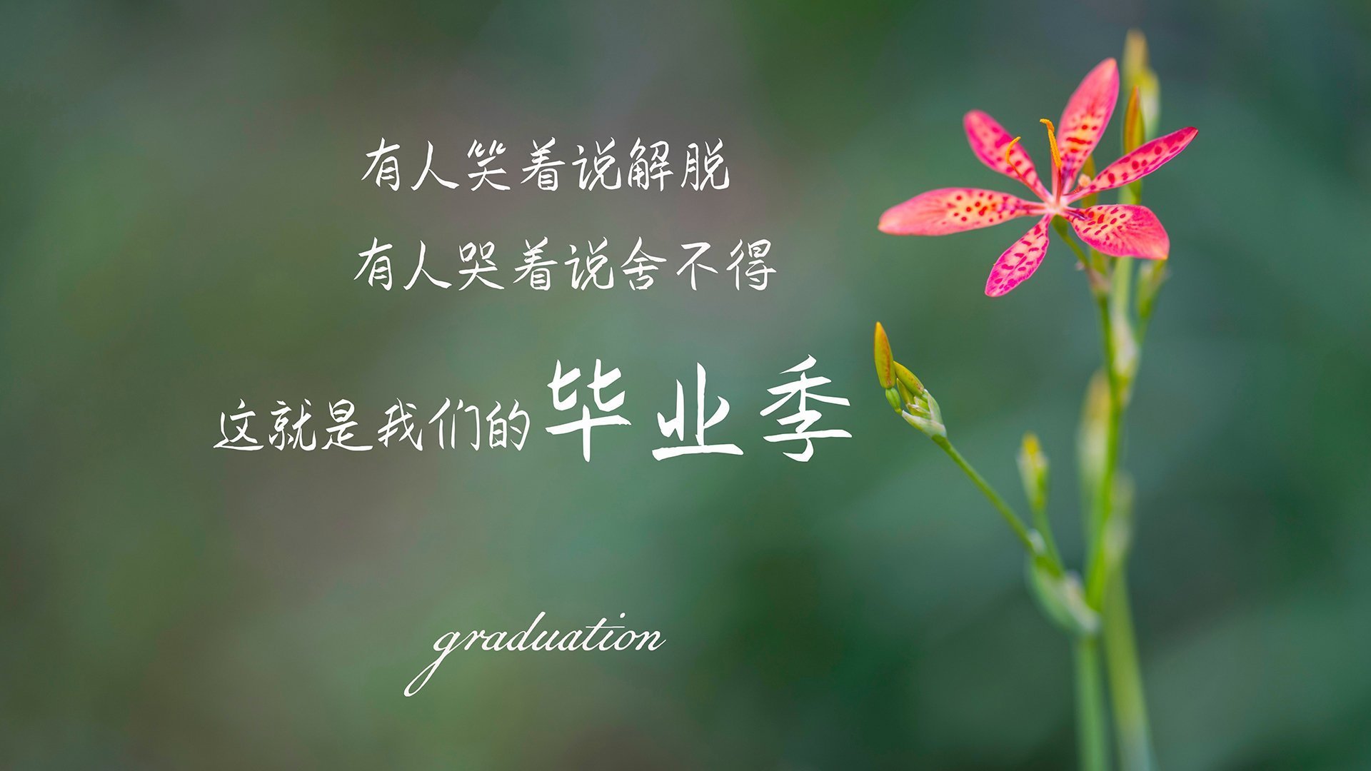 米兰登录入口-世界杯激烈角逐：精彩瞬间不断涌现！，世界杯激动人心时刻