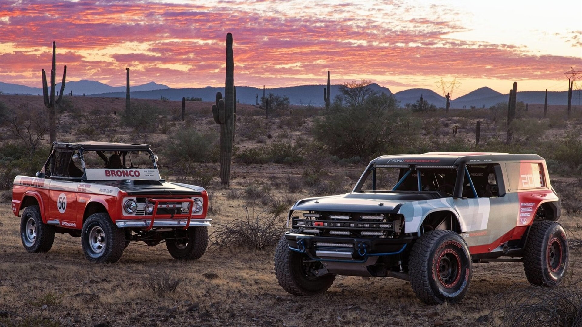 国家队训练营强化防守转换提升团队协作效率，加强防守