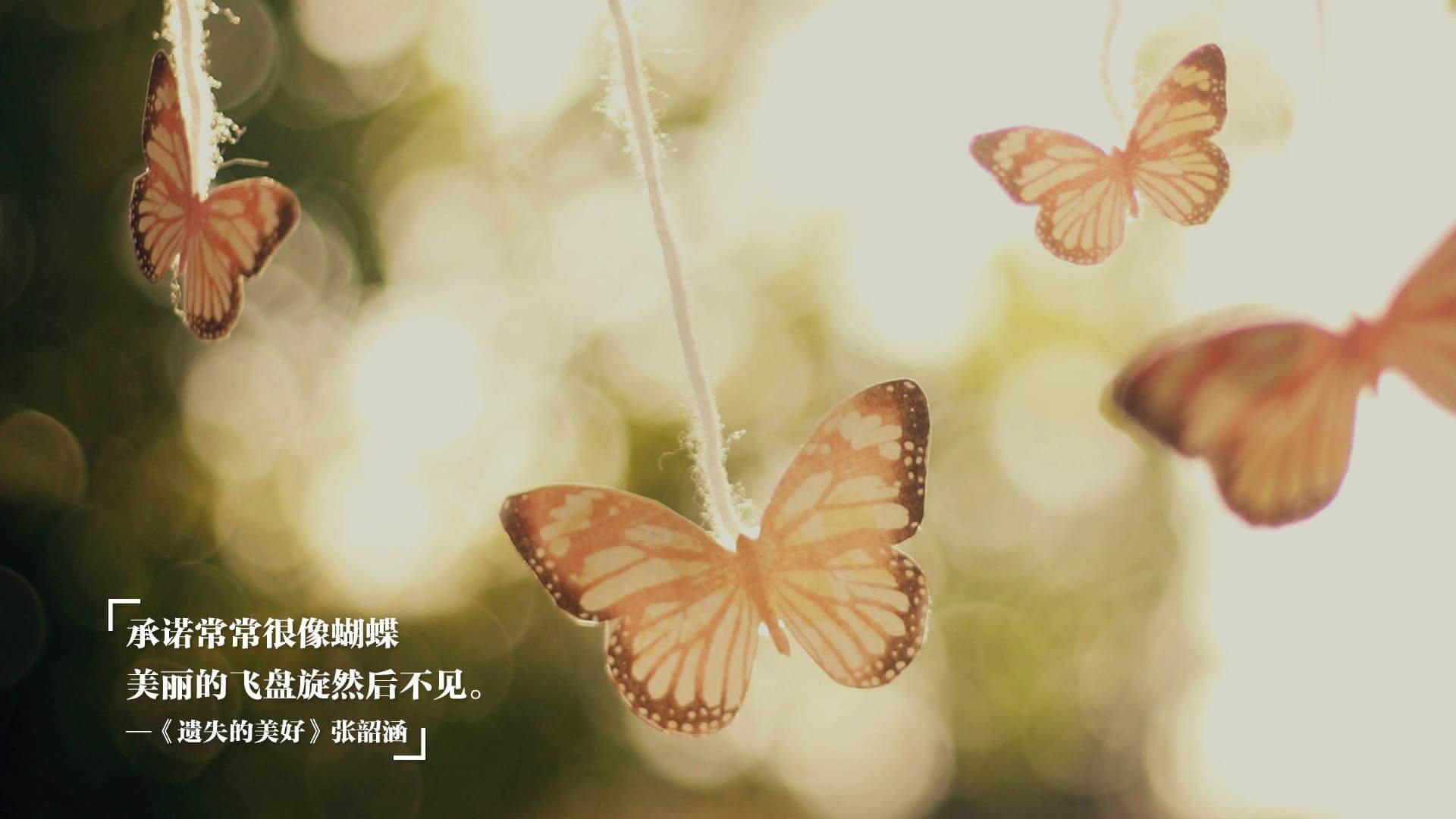 国际比赛纪念展在主办城市巡展，吸引大量观众，国际大赛视频