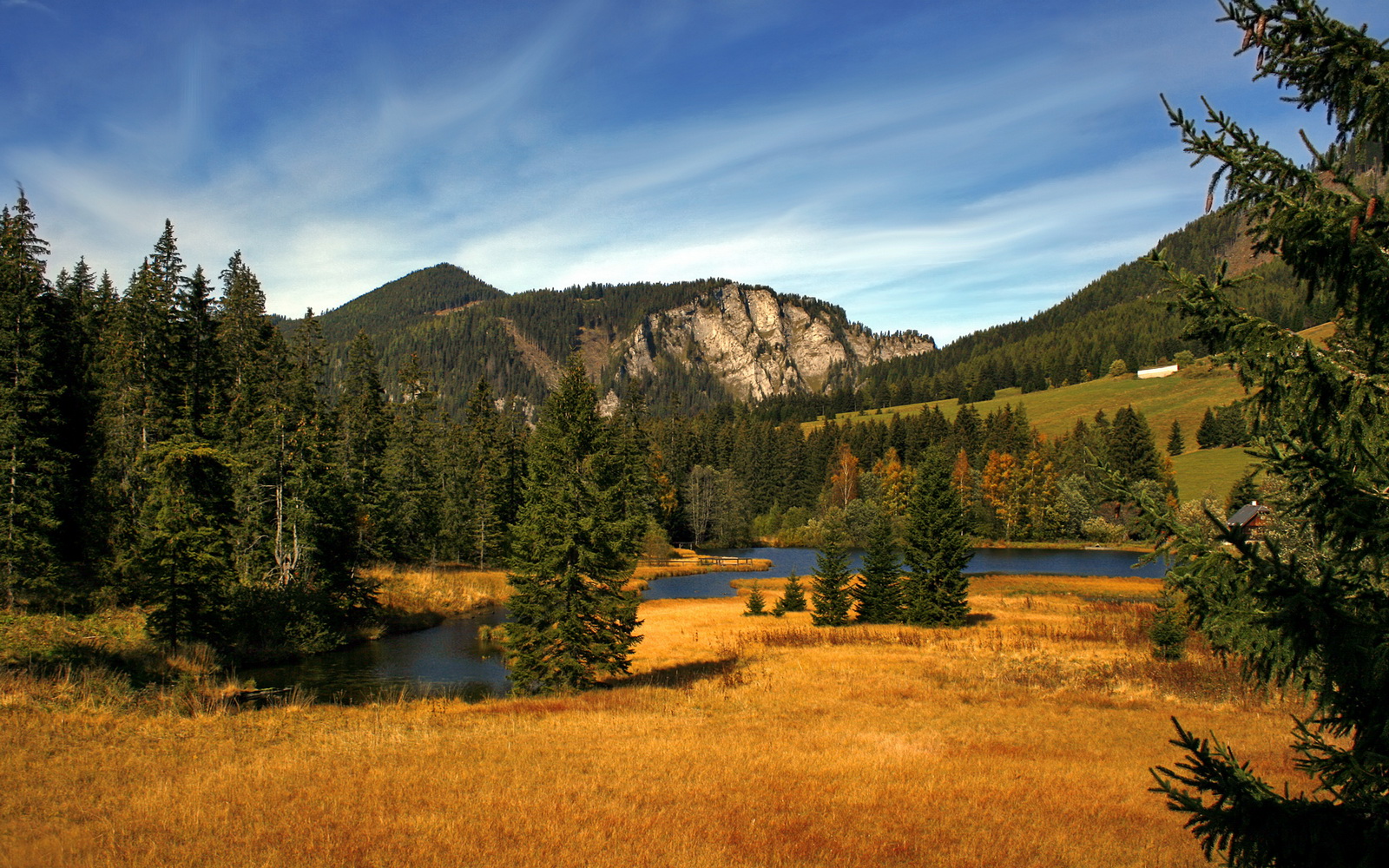 日本橄榄球崛起,能否打破传统强队格局?,日本橄榄球队队员名单