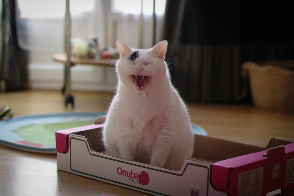 -比赛中多次精准抢断打断对方进攻节奏展现出色防守预判，抢断打到手算犯规吗